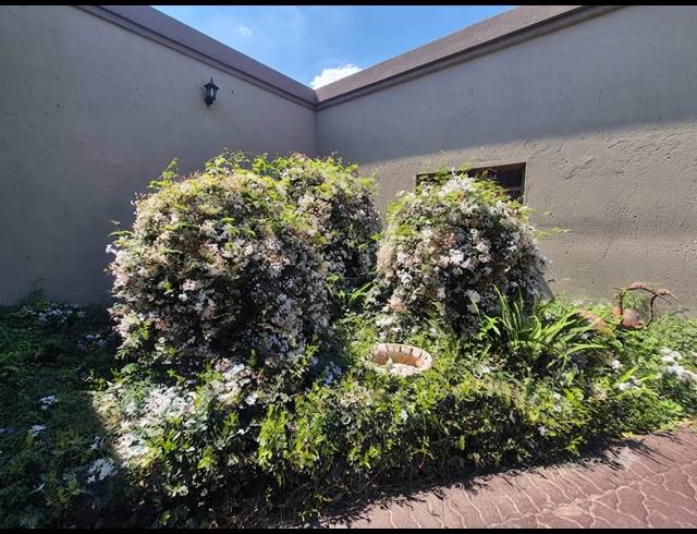 3 BEDROOM HOUSE FOR SALE IN VANDERBIJLPARK SE 2